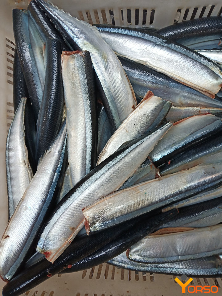 Pacific saury, frozen, HGT, 100-120, 1/10