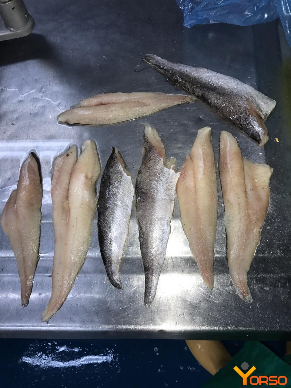 Рыба хек сколько
