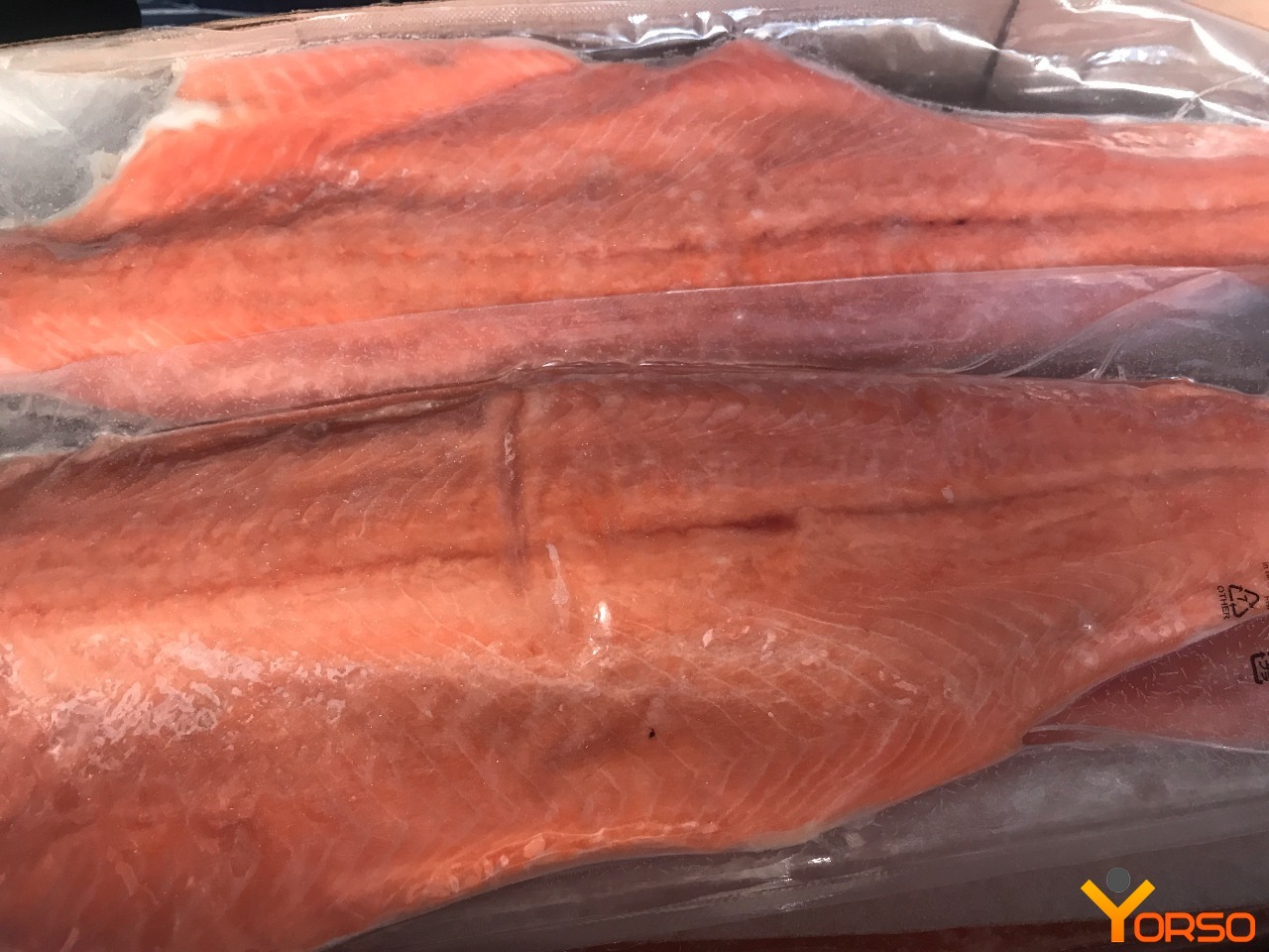 Frozen Chum Salmon Fillet Wholesale Fish Frozen Salmon
