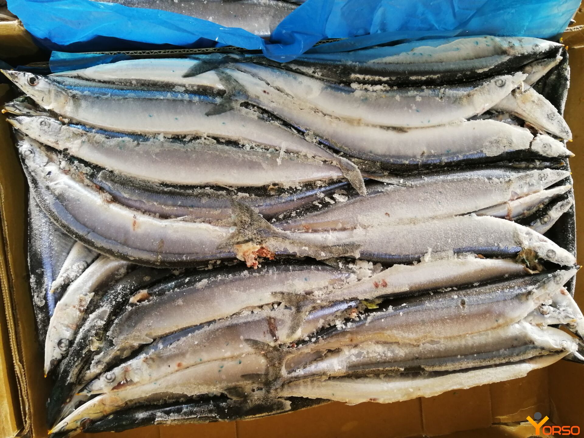 Pacific Saury Frozen Wr 4 60 80 1 10